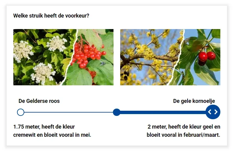 Voorbeeld van een keuzewijzerpagina op een participatiewebsite