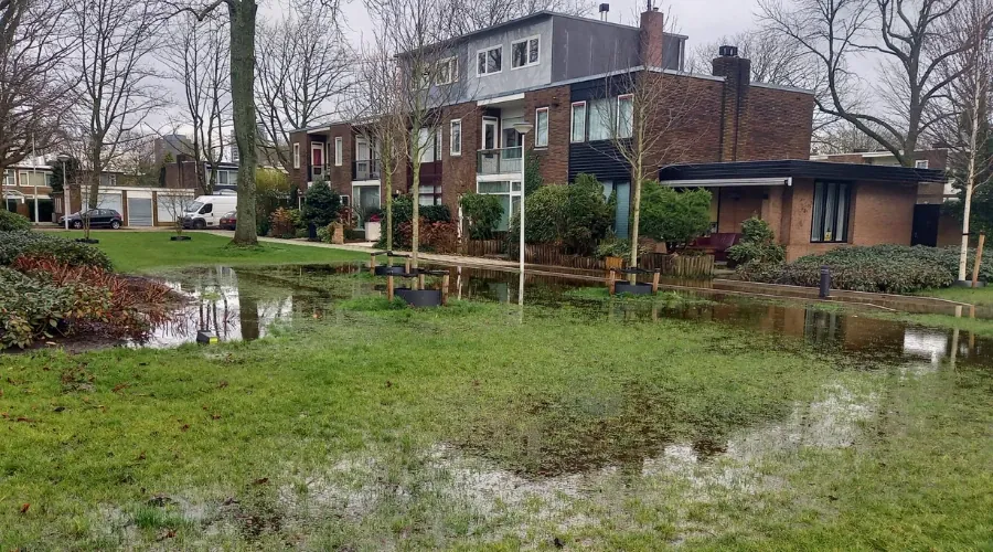 Arthur Meerwaldtplantsoen - foto 2