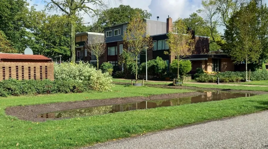 Project Arthur Meerwaldtplantsoen