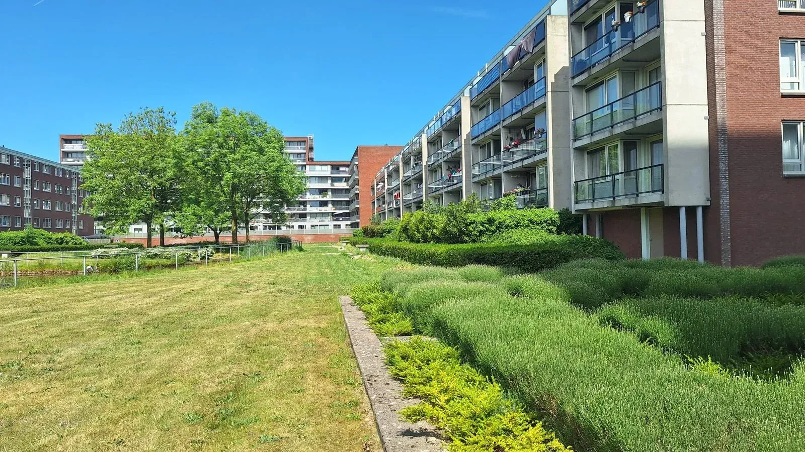 Klimaat Blauwdruk Bart Poesiatstraat - foto 3