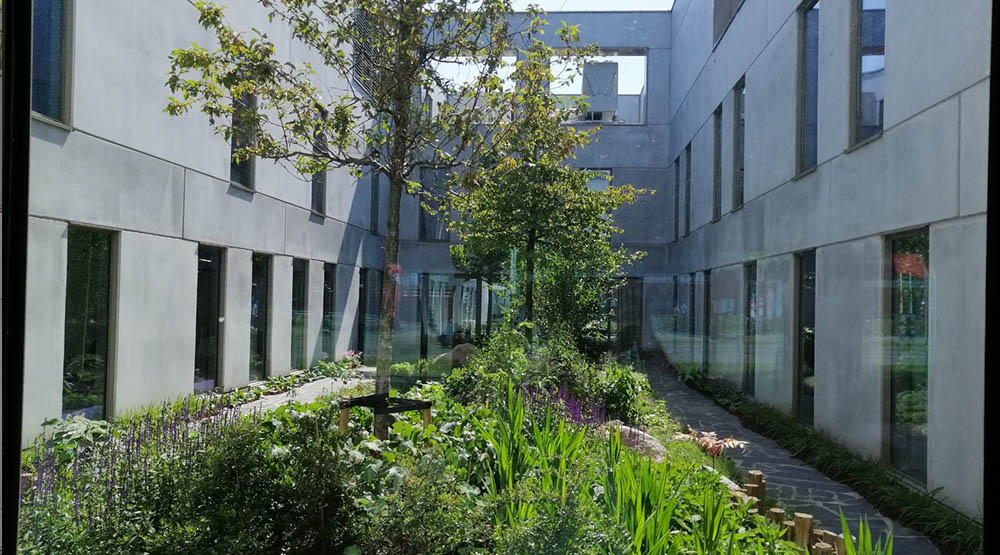 Project Binnentuin Boerhaave Kliniek