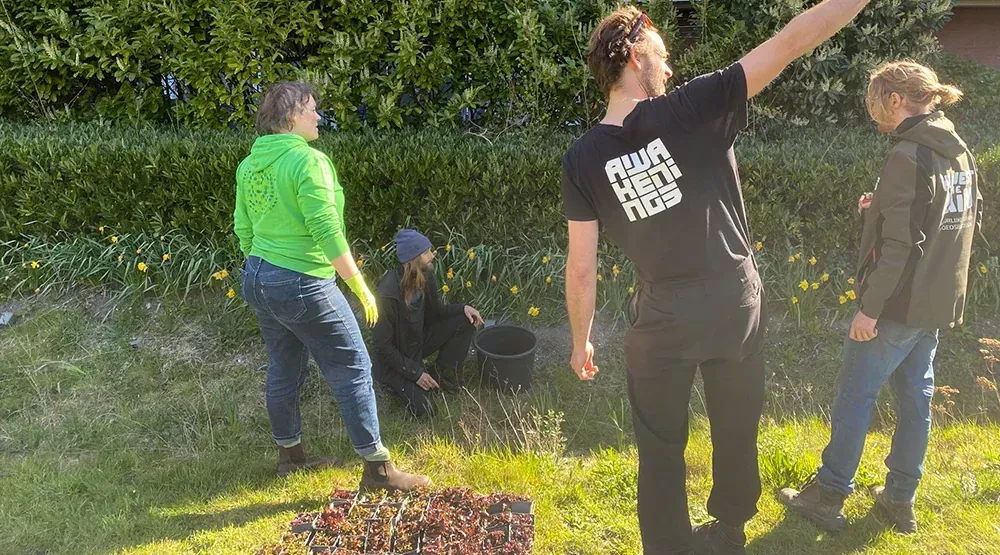 Groen Nieuw-West Coöperatie - foto