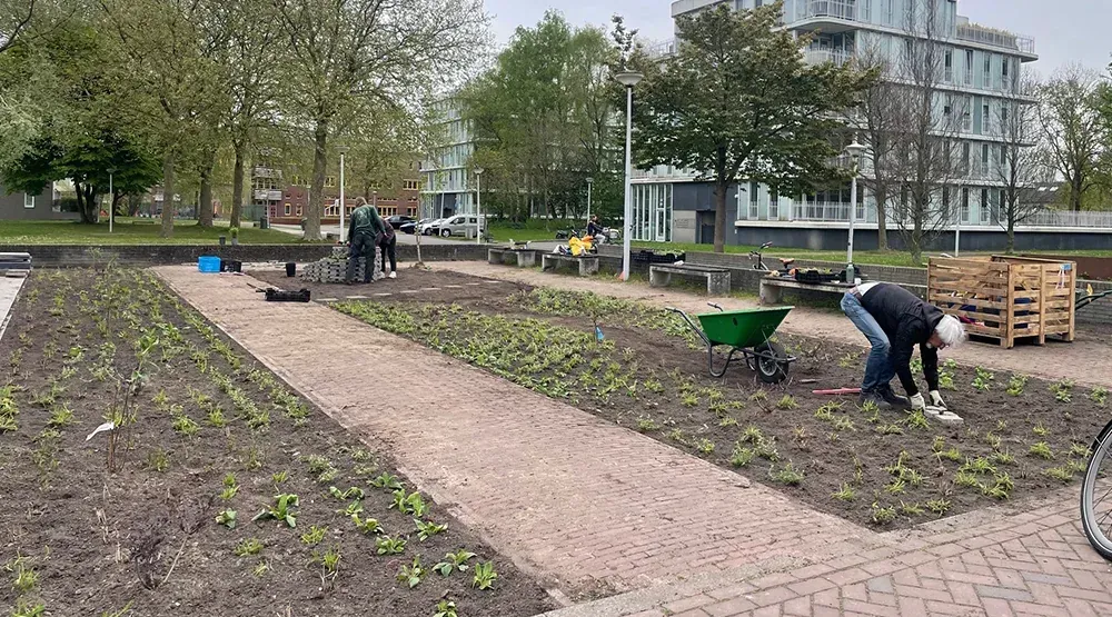 Groen Nieuw-West Coöperatie - foto