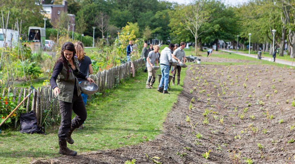 Klimaattuin Slotermeer - foto 7