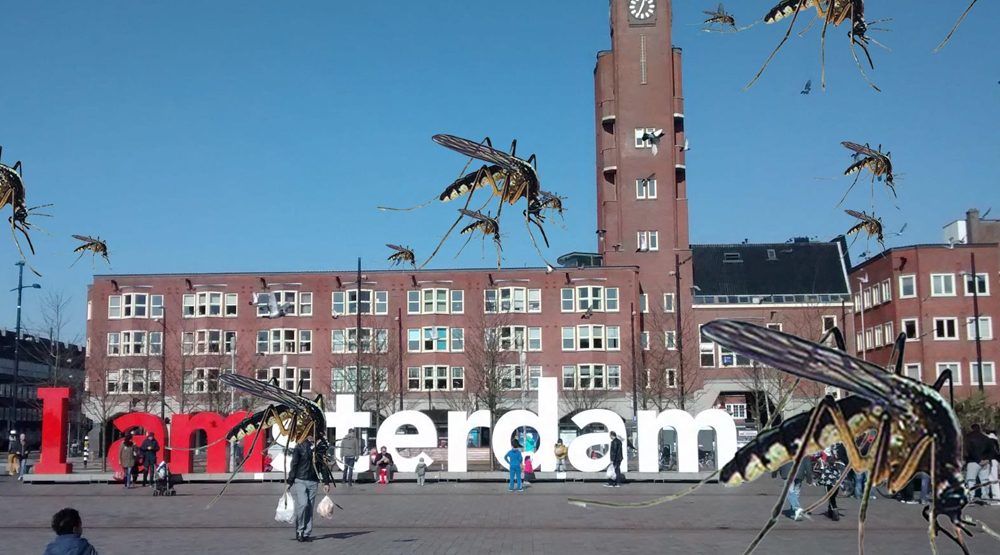 Project Muggenoverlast in de Baarsjes