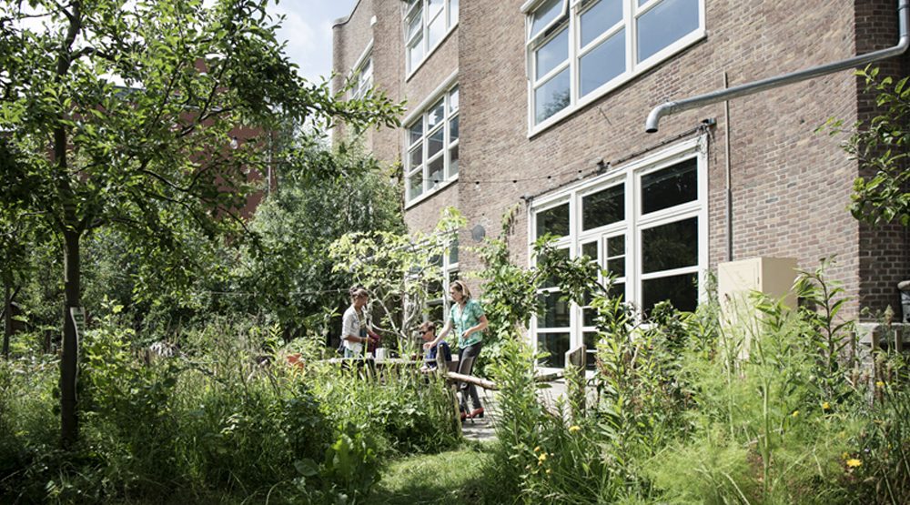 Regentuin MidWest - foto 4