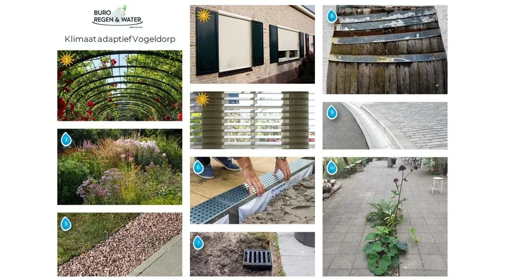 Project Vogeldorp Uitvoeringsbegeleiding